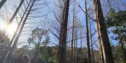 記事イメージ1