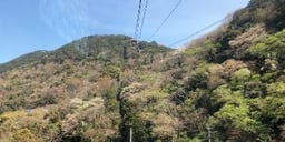 記事イメージ1