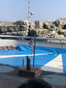 大分マリーンパレス水族館『うみたまご』のイメージ画像
