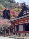 談山神社のイメージ画像