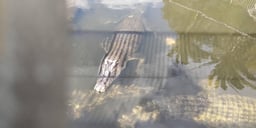 記事イメージ3