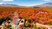 [新旅.jp] 家族旅行にぴったり！「ホテルグリーンプラザ軽井沢」で自然と遊びと温泉を満喫【レビュー】
