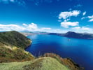 [新旅.jp] 【2025年夏】知床・富良野・美瑛へ！北海道の絶景×グルメ×温泉宿おすすめ旅ガイド