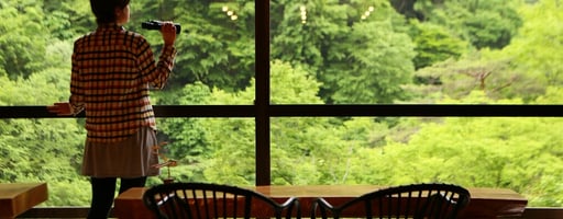 特集のイメージ画像