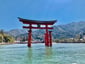 家族旅行にぴったり！広島・宮島温泉郷「宮浜グランドホテル」で瀬戸内の絶景と温泉を満喫【レビュー】