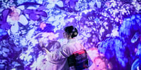 青森 【動き出す浮世絵展 AOMORI】 入場Eチケット(2026年7月11日(土)~8月30日(日))