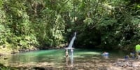 【鹿児島・奄美大島】亜熱帯原生林〜癒しの森で森林浴「秘境の滝へ散歩&マングローブカヌー」1日1組限定プライベートツアー