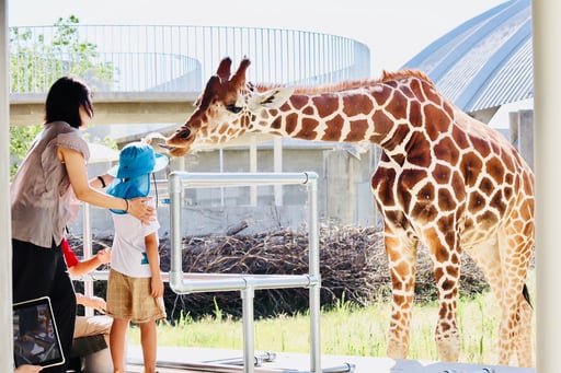 茨城 霞ケ浦 どうぶつとみんなのいえ 前売り入園Eチケット【公式販売価格から最大20%OFF】