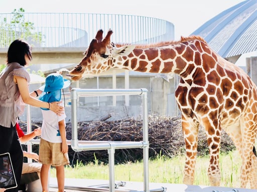 茨城 霞ケ浦 どうぶつとみんなのいえ 前売り入園Eチケット【公式販売価格から最大20%OFF】