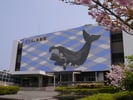和歌山 太地町立くじらの博物館 入館Eチケット 予約