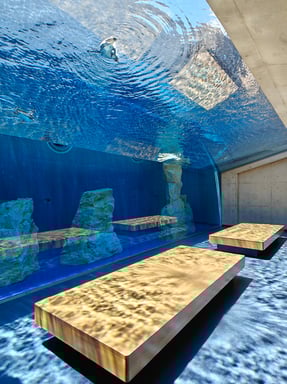 島根県立しまね海洋館 アクアス 入場Eチケット 予約(即日発券)