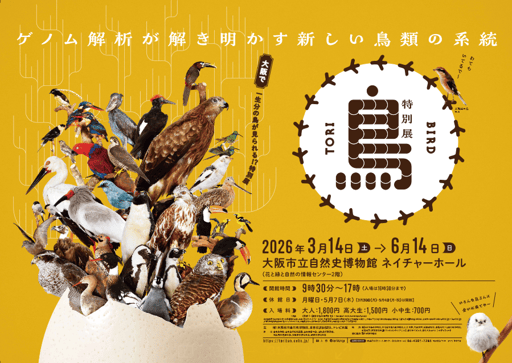 大阪 特別展「鳥～ゲノム解析が解き明かす新しい鳥類の系統～」入場チケット 予約