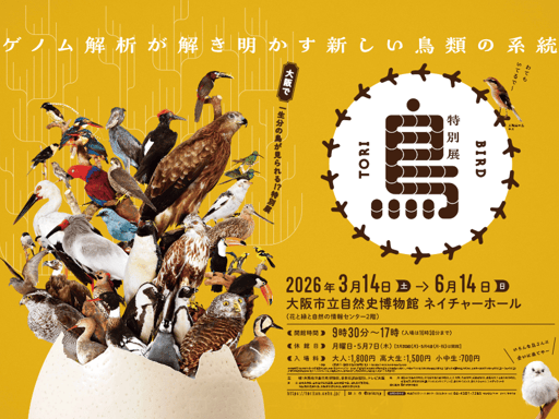 大阪 特別展「鳥~ゲノム解析が解き明かす新しい鳥類の系統~」入場チケット 予約
