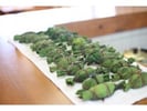 【新潟・十日町】新潟の伝統食「笹団子」作り体験