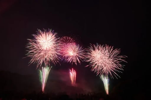 東京 第7回秋川流域花火大会 鑑賞チケット 予約