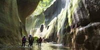 【大分・別府】由布川峡谷!神秘チョックストーンを目指せ!リバートレッキングツアー2025(日本語ガイド・装備レンタル込み・ドリンク付き)