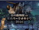 沖縄 夜の動物園 in ネオパークオキナワ2026 体験予約