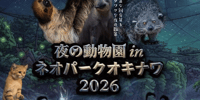 沖縄 夜の動物園 in ネオパークオキナワ2026 体験予約