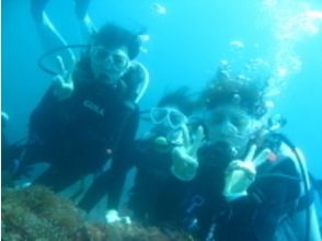 【静岡・伊豆】気軽に簡単に！体験ダイビング