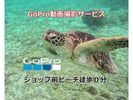 奄美大島ウミガメを探すシュノーケルツアー（小学生から～70代まで）Kazboショップ前の用安ビーチで階段下りたらそこがポイント