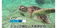 奄美大島ウミガメを探すシュノーケルツアー(小学生から~70代まで)Kazboショップ前の用安ビーチで階段下りたらそこがポイント