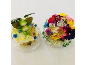 【北海道・小樽】世界に一つだけのオルゴール製作体験　ご家族・カップル・お友達同士にもオススメ