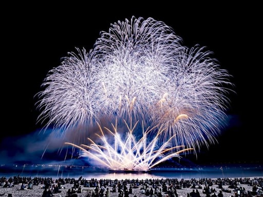 大阪 【りんくう花火2026】エリア入場券(自由席)予約<2026年6月6日(土)>