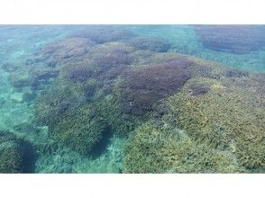 【鹿児島・与論島】百合ヶ浜渡し＆赤崎サンゴの森 シュノーケリングツアー！