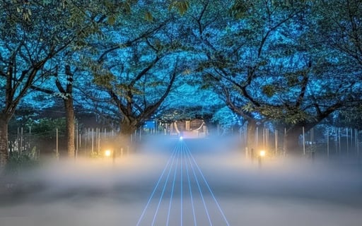 【楽天限定割引!】 ZEN NIGHT WALK KAMAKURA 入場チケット 建長寺 夜間拝観 秋 【即時発券】