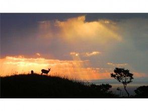 【北海道・知床】世界自然遺産コアゾーン知床五湖 全周３時間！ガイド付き昼のトレッキング（１０名様迄）