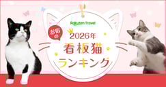 看板猫ランキング2026　お宿のネコちゃんが大集合！のイメージ画像