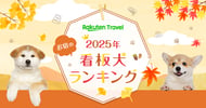 【看板犬ランキング】ただいま投票受付中～ぜひ応援の一票を！