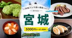 JR楽パック赤い風船で行く！ 宮城のイメージ画像