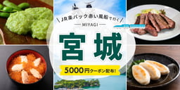 JR楽パック赤い風船で行く! 宮城のイメージ画像