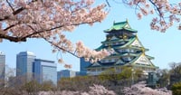 [新旅.jp] 【大阪の桜の名所 2026年】造幣局や大阪城など花見の名所と夜桜ライトアップ、見頃情報も！