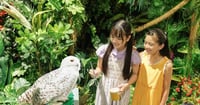 [新旅.jp] “ゼロ距離”で感じる、非日常の生きもの体験へ「DMMかりゆし水族館」