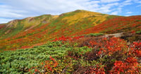 [新旅.jp] 秋の見逃せない絶景！初心者でもOKの紅葉が楽しめる全国の登山スポット20選