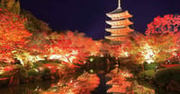 [新旅.jp] 【2025年 京都の紅葉】ライトアップ情報から名所・穴場・見頃情報まで網羅