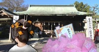 [新旅.jp] 【静岡県島田市】乙女のパワスポ 三女神を祭る大井神社&「文金高島田」が結える美容室へ