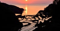 [新旅.jp] 【2025年最新】現地スタッフ厳選！佐賀県のおすすめ観光スポットBEST27