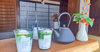 [新旅.jp] 島根・出雲大社すぐ近くの日本茶テイクアウト専門店！注文を受けてから1つずつ丁寧に点てる抹茶が絶品