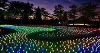 [新旅.jp] 新潟・小千谷市で震災復興の希望をともすイルミネーション「オヂヤホタル」開幕