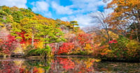[新旅.jp] 紅葉やコスモス畑、ハロウィーンイベントも！10月に行きたい関西のおすすめ観光スポット