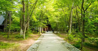 [新旅.jp] 現地スタッフ厳選！軽井沢のおすすめ観光スポットBEST31
