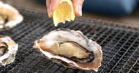 [新旅.jp] 広島県内有数の牡蠣の産地「江田島」 の牡蠣小屋＆グルメとおすすめ観光スポット