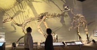 [新旅.jp] 「神様からの贈りもの」北海道の新スポットがオープン！奇跡の恐竜の本物化石が足元に