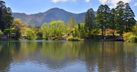 [新旅.jp] 湯布院のおすすめ観光スポット20選！定番から穴場まで！