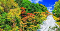 [新旅.jp] 【2025年最新】日光のおすすめ紅葉名所20選！見頃やライトアップ情報も