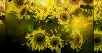 [新旅.jp] 日本初公開作品も！ チームラボの常設アートミュージアムが京都駅そばに10月7日オープン