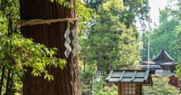 [新旅.jp] 時空を超えて。「フェアフィールド・バイ・マリオット・奈良天理山の辺の道」を拠点に楽しむ奈良・天理の歴史旅